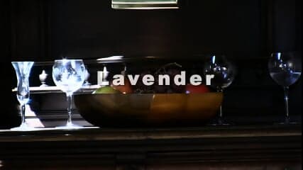 denise milani lavender